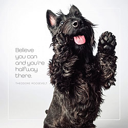 Believe You Can Card (Scottish Terrier)