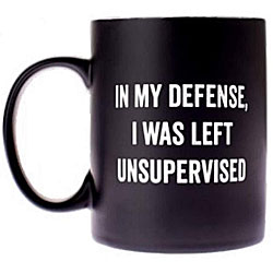 In My Defense Coffee Mug