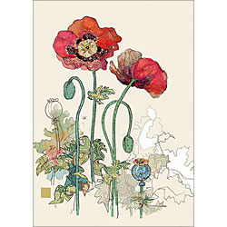 Two Red Poppies Card