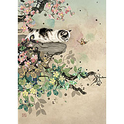 Kitten Ledge Card Kitten Ledge Card