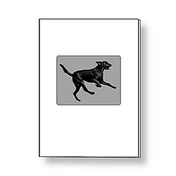 Black Lab Card Black Lab Card