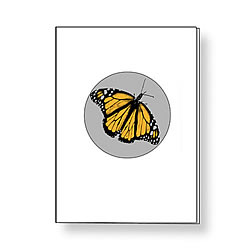 Butterfly Card Butterfly Card