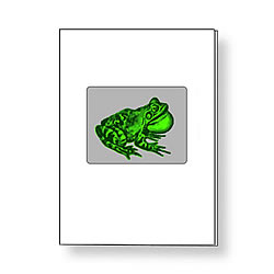 Jumping Frog Card Jumping Frog Card