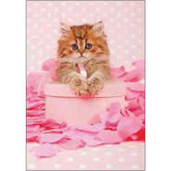 Pink Princess Kitty Card Pink Princess Kitty Card