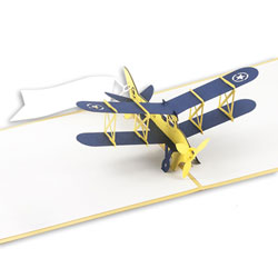 Airplane With Banner Card (Blank) Airplane With Banner Card (Blank)