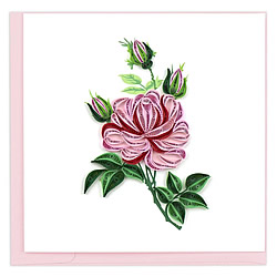 Pink Rose Card Pink Rose Card