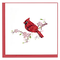 Cardinal Card Cardinal Card