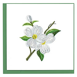 Dogwood Card Dogwood Card