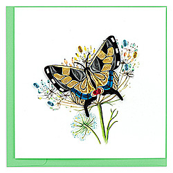 Swallowtail Butterly Card