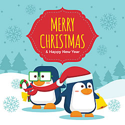 Two Penguins Greeting Card