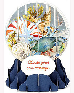 Sea Treasures Snow Globe Greeting (Medium, 5") Sea Treasures Snow Globe Greeting (Medium, 5")