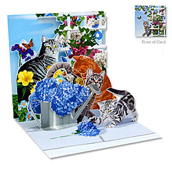Cats & Flowers Card Cats & Flowers Card