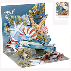 Sea Treasures Card Sea Treasures Card