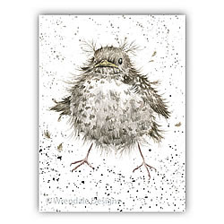 Flying the Nest Card (Bird)