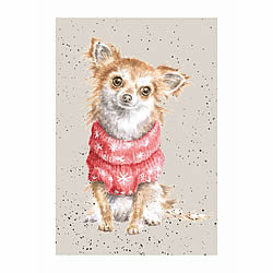 Chihuahua Card (Maisey)