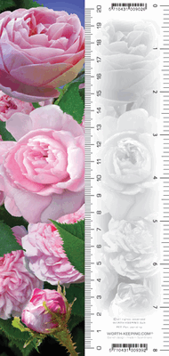 Rose Bookmark (Pink)