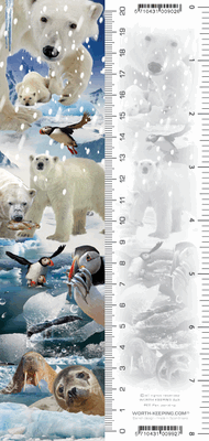 Arctic Bookmark