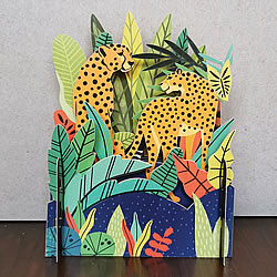 Leopards Card Leopards Card