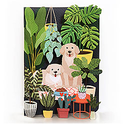 Happy Dogs Card Happy Dogs Card