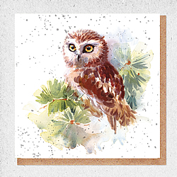 Owl Card Owl Card