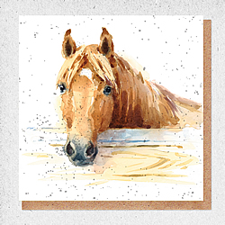 Horse Card