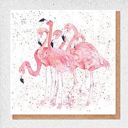 Flamingos Card Flamingos Card