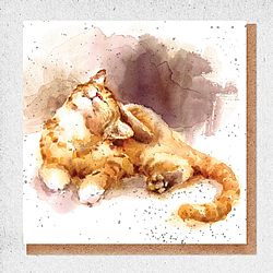 Cats Card Cats Card