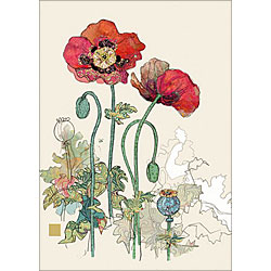 Two Red Poppies Card Two Red Poppies Card