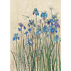 Iris Border Card