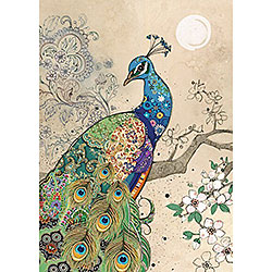 Peacock Card