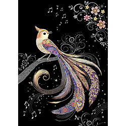 Paraise Bird Card Paraise Bird Card