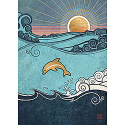 Dolphin Card Dolphin Card