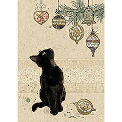 Kitten Decorations Card