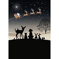 Santa Gazing Card