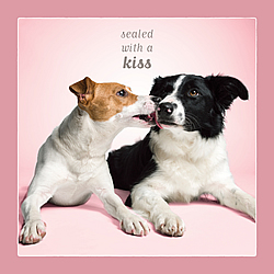 Sealed With A Kiss Card (Jack Russell & Border Collie) Sealed With A Kiss Card (Jack Russell & Border Collie)
