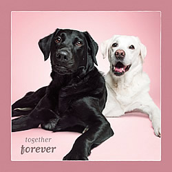 Together Forever Card (Labrador Retriever) Together Forever Card (Labrador Retriever)