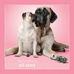Love Comes In All Sizes Card (Pug & Bull Mastiff) Love Comes In All Sizes Card (Pug & Bull Mastiff)