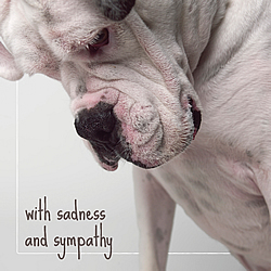 With Sadness And Sympathy Card (Boxer) With Sadness And Sympathy Card (Boxer)