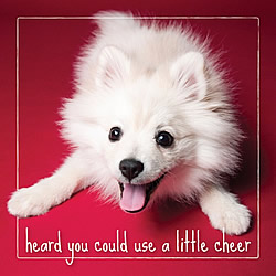 A Little Cheer Card (Pomeranian)