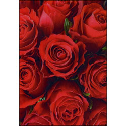 Roses Card