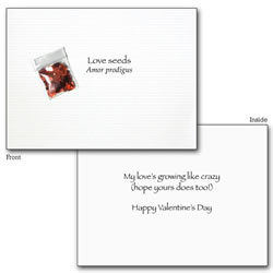 Love Seeds Love Seeds