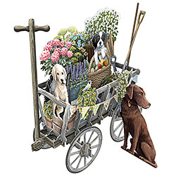 Goat Cart Card Goat Cart Card