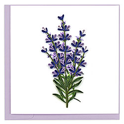 Lavender Card