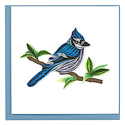 Blue Jay Card Blue Jay Card