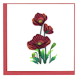 Red Poppies Card Red Poppies Card