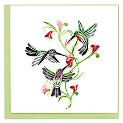 Hummingbird Trio Card