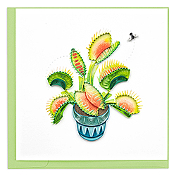 Venus Flytrap Card Venus Flytrap Card