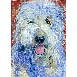 Samson Card (Labradoodle)