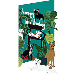 Dogs On Chairs Card Dogs On Chairs Card