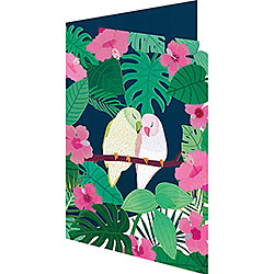 Love Bird Card Love Bird Card